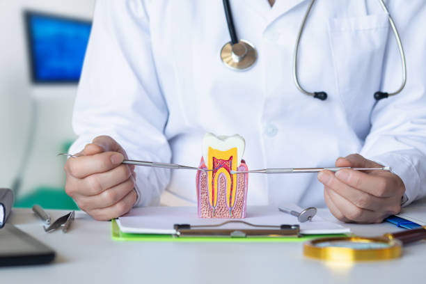 Best Broken or Cracked Tooth Emergency Dentist in Groesbeck, OH